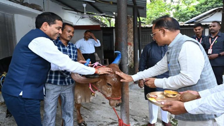 मुख्यमंत्री की सहजता ने एक बार फिर मोहा सबका मन, CM साय ने सीएम हाउस में की गौवंश की पूजा