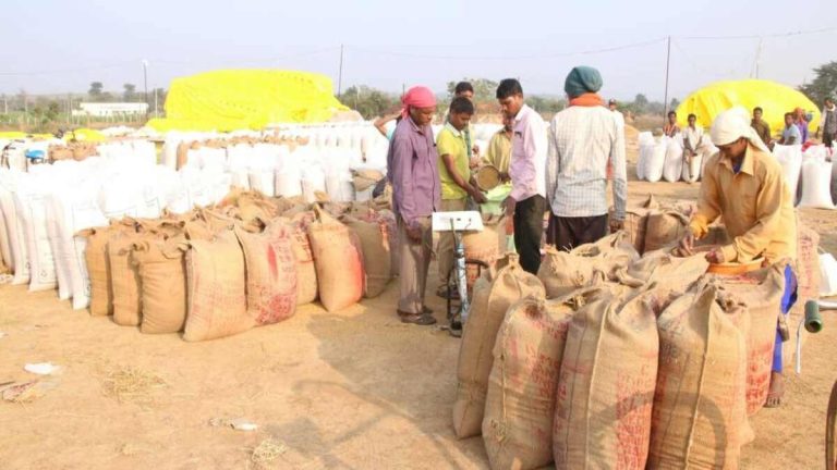 छत्तीसगढ़ में कल से शुरू होगी धान खरीदी