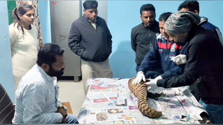 एंटी पोचिंग टीम की बड़ी कार्रवाई, जिंदा पैंगोलिन के साथ ओडिशा के दो तस्कर गिरफ्तार