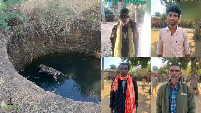 तेंदुए की संदिग्ध मौत मामले में वन विभाग की बड़ी कार्रवाई: चार आरोपियों को किया गिरफ्तार, कटे हुए पंजे और शिकार का सामान बरामद